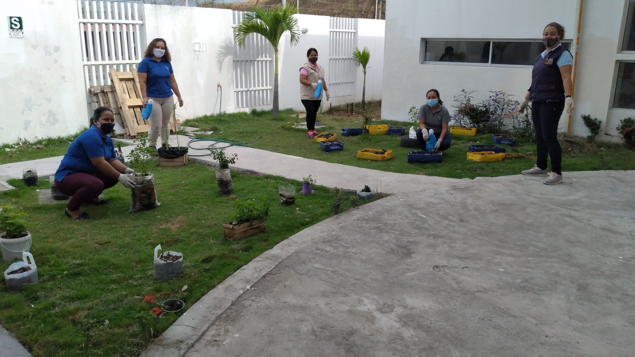 Centros Infantiles Y Casas Hogares Del Mies Desarrollan Huertos OrgÁnicos En Guayaquil 4868